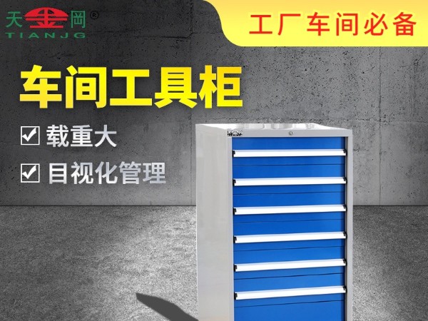 蘇州生產(chǎn)車(chē)間工具柜的廠家哪家好？【天金岡】