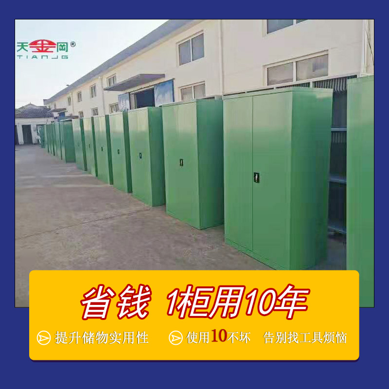 雙開(kāi)門(mén)工具柜